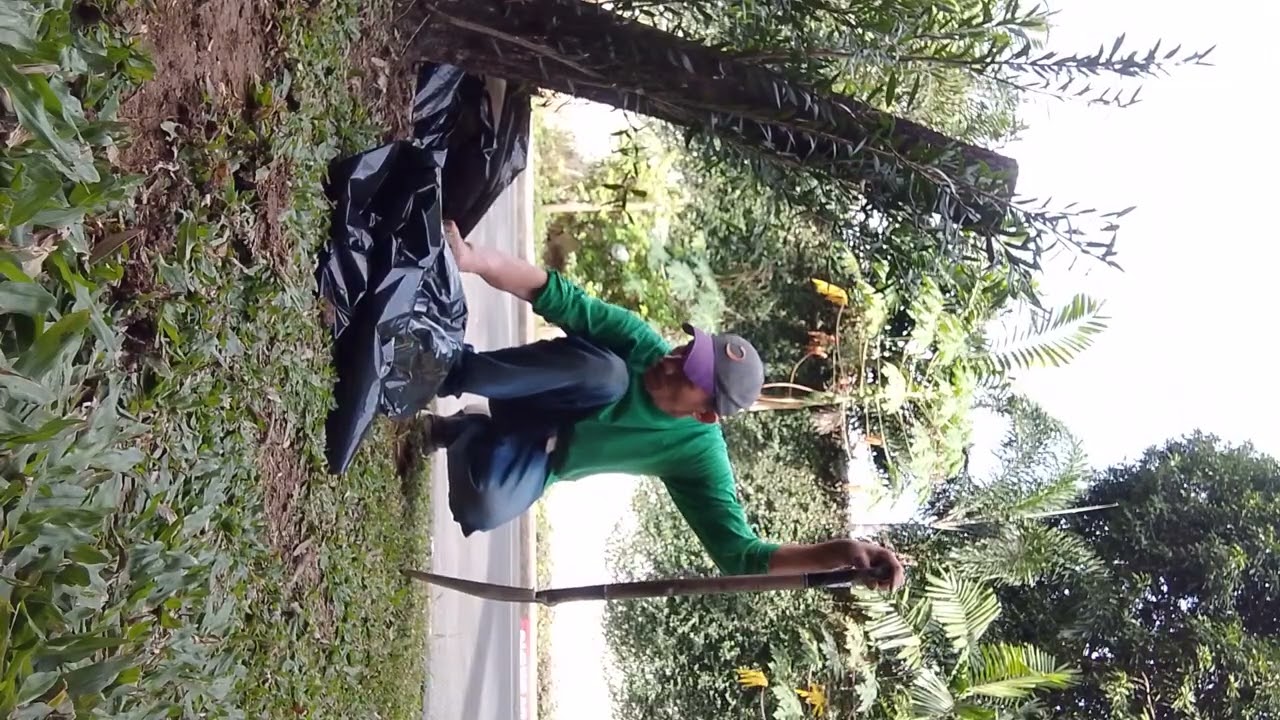 removing carabao grass and weeds