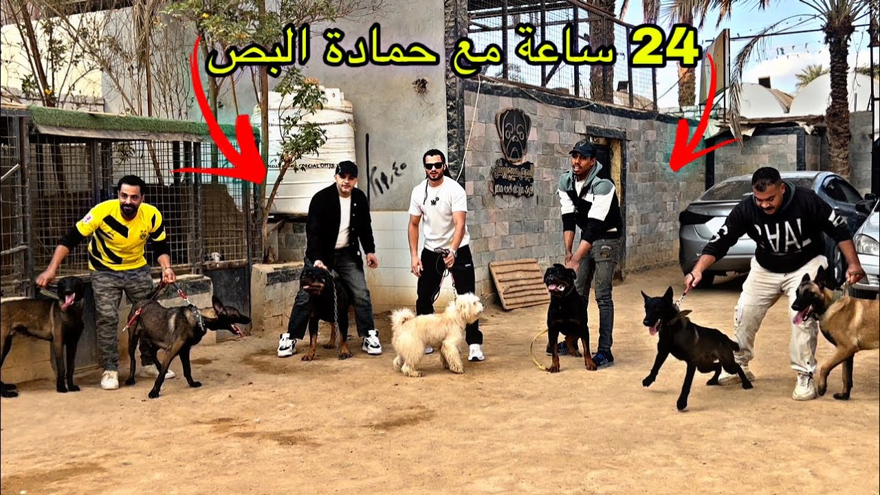 يوم كامل في مزرعة الـ ١٤٠ كلب 😱 || سلسة رمضان الجديدة ٢٤ ساعة مع حسن شيتا