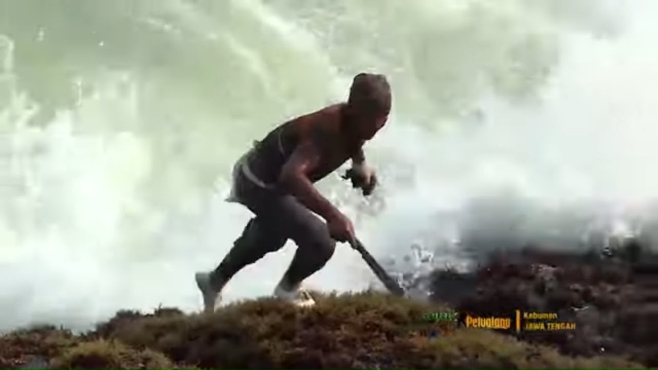 Berburu Kerang Pantai Selatan | JEJAK PETUALANG