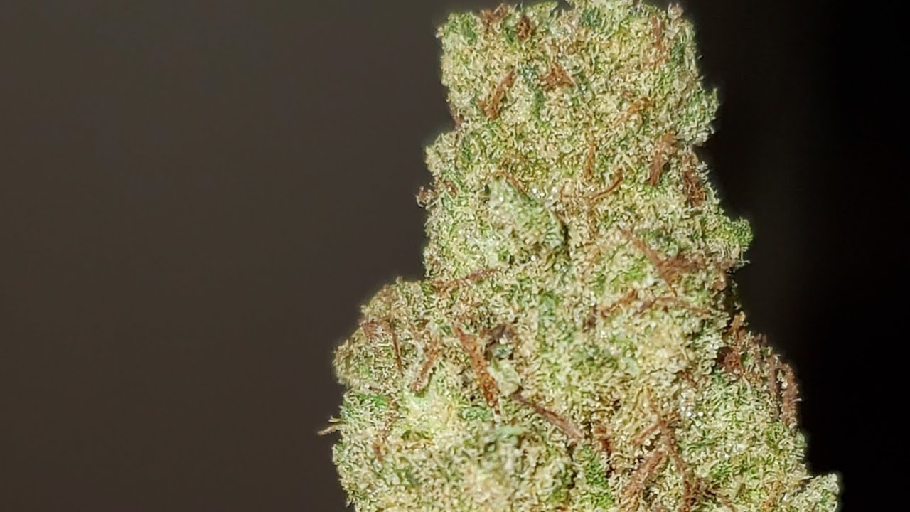 LEMONCHELLO STRAIN WAKE AND BAKE STYLE
