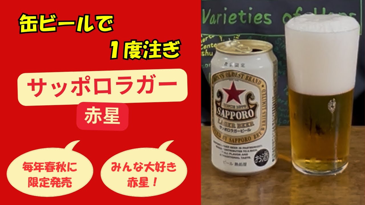 【麦酒大学】缶ビールで注ぎ分け　サッポロラガービール「赤星」編