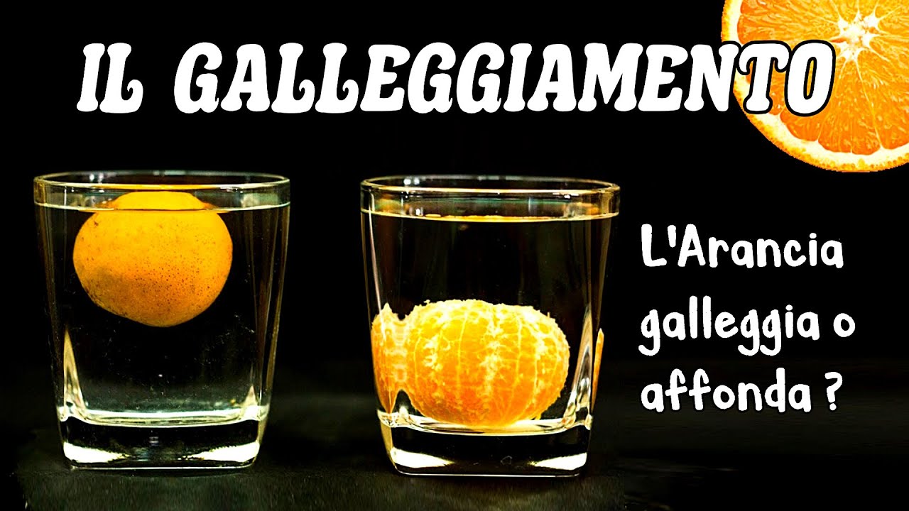 🍊🥛 IL GALLEGGIAMENTO - Esperimento dell'ARANCIA con e senza Buccia: Galleggia o Affonda? 👩🏻‍🔬