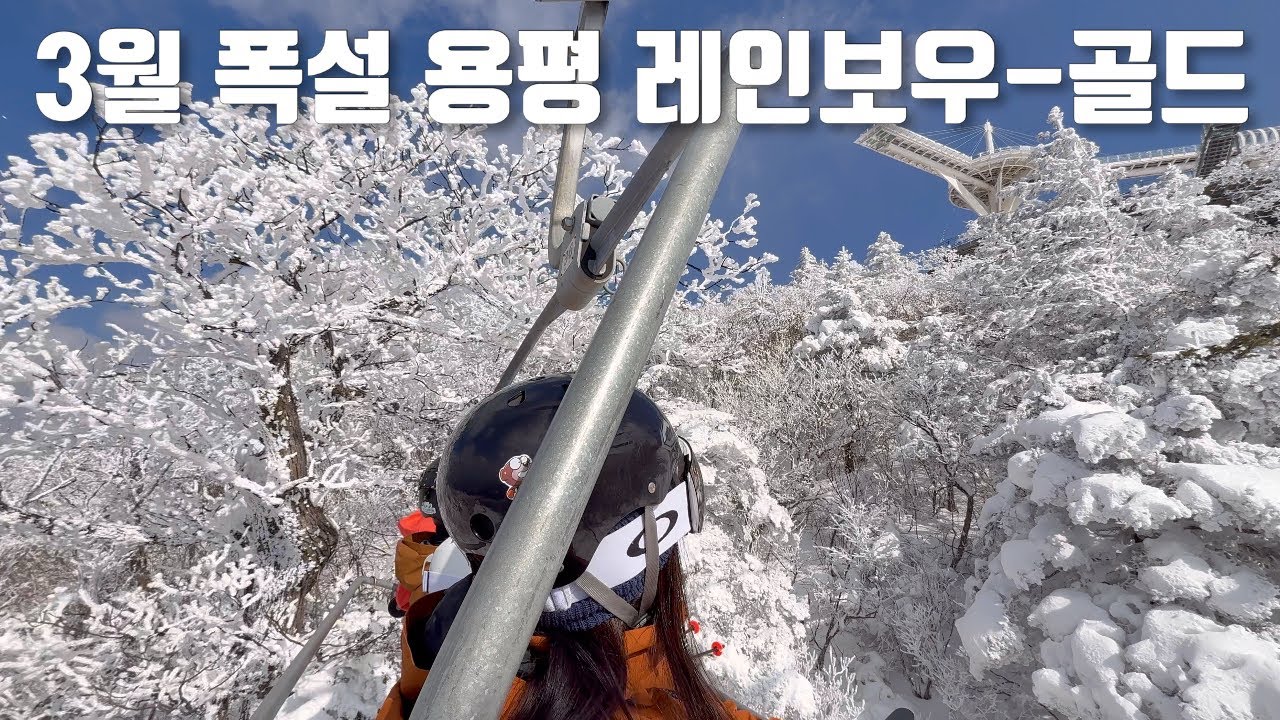 3월 폭설 다음날 설경 미쳤다 ❄️ 용평 스키장 레인보우 → 레드 → 골드 슬로프 일주 | 스노우보드 1인칭 #용평 #스노우보드 #3월스키장 #폭설