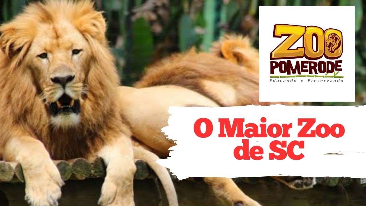 Zoo Pomerode : Passeio em Pomerode em fam&iacute;lia