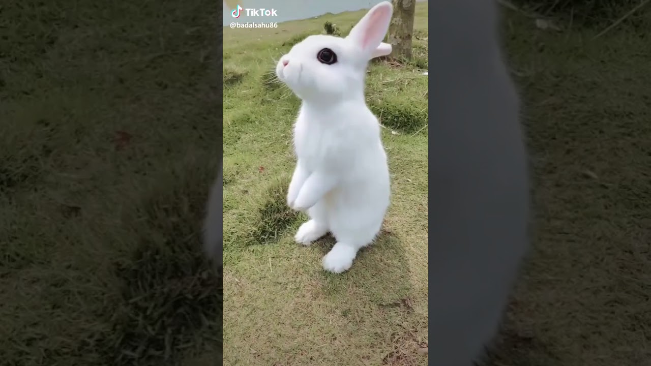 Kkkk