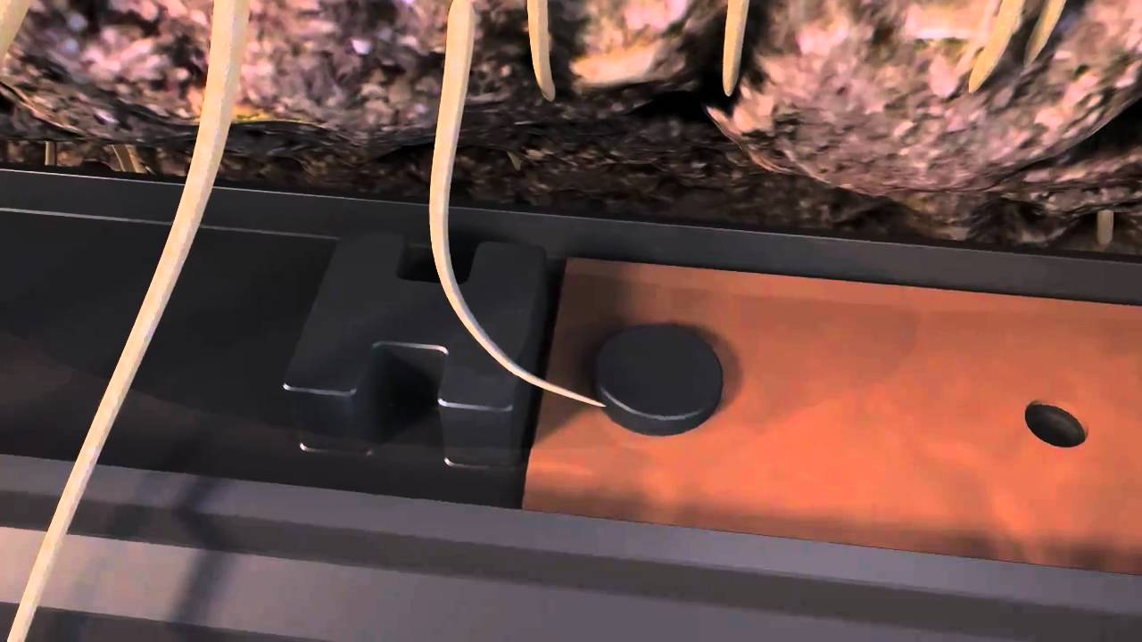 Rain Bird XFS Subsurface Dripline