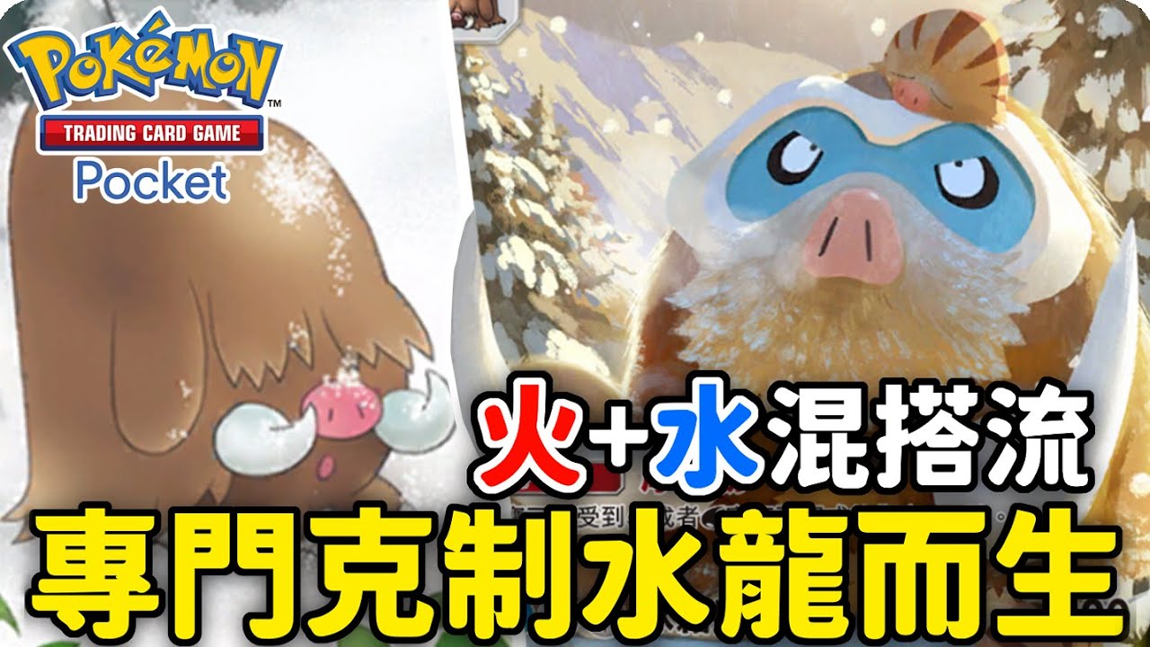 水龍剋星🔥火+水最佳組合 ! 象牙豬&小山豬&長毛豬 直接輾壓對手【Pokémon TCG Pocket】