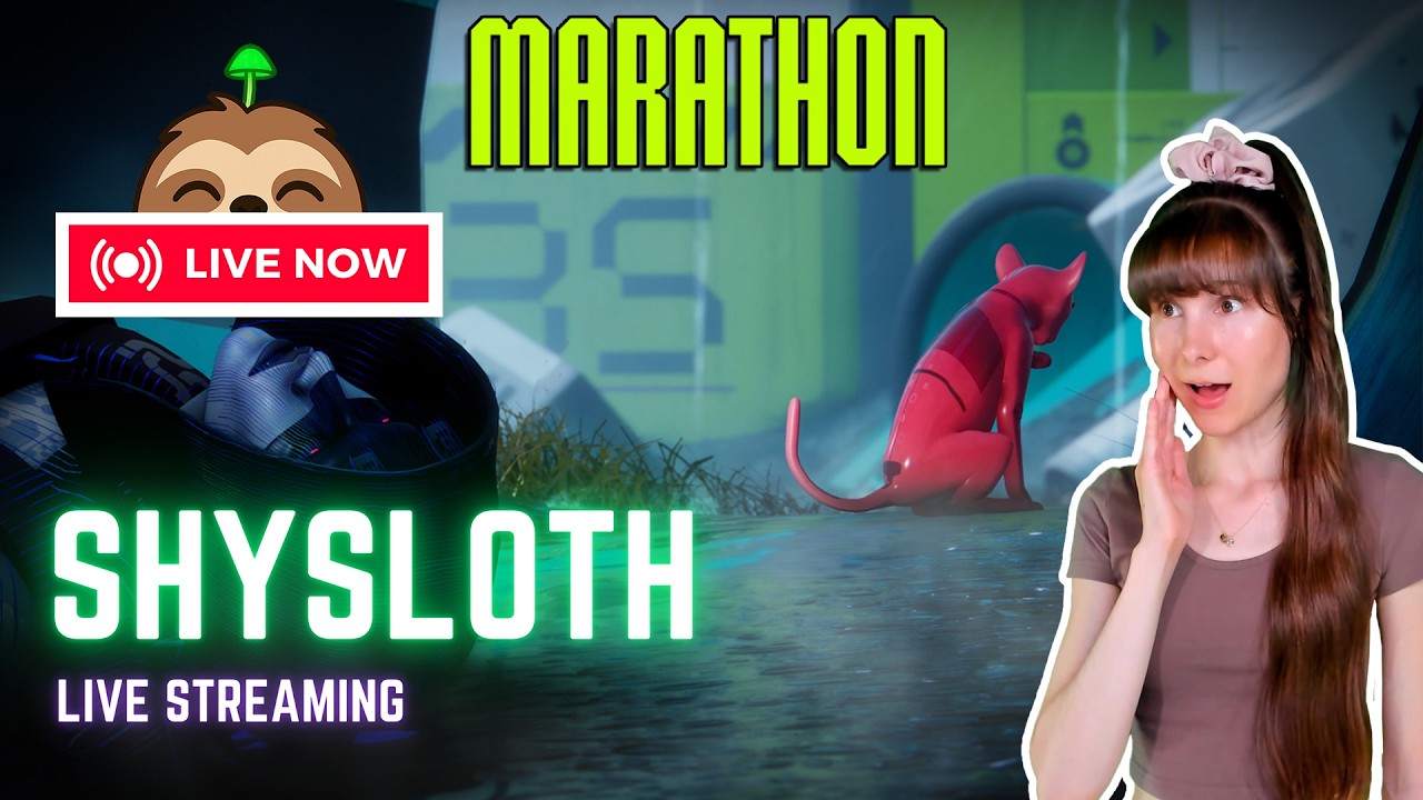🐛 Just A Chill Rook Running A Marathon Or Something... 🏃‍♀️‍➡️ Help Me Retain My Sanity In Here 🤣💚
