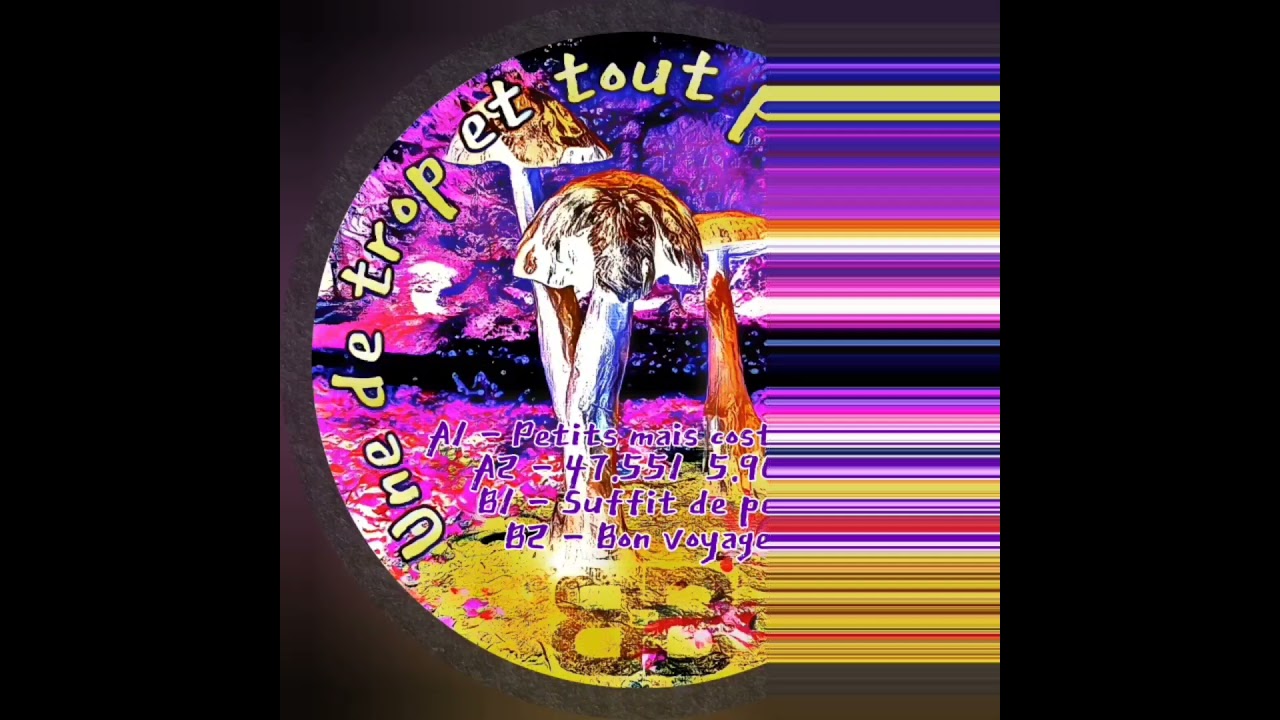 BEBERT 01 - BEBERT BROTHERS - A1 - PETITS MAIS COSTAUDS