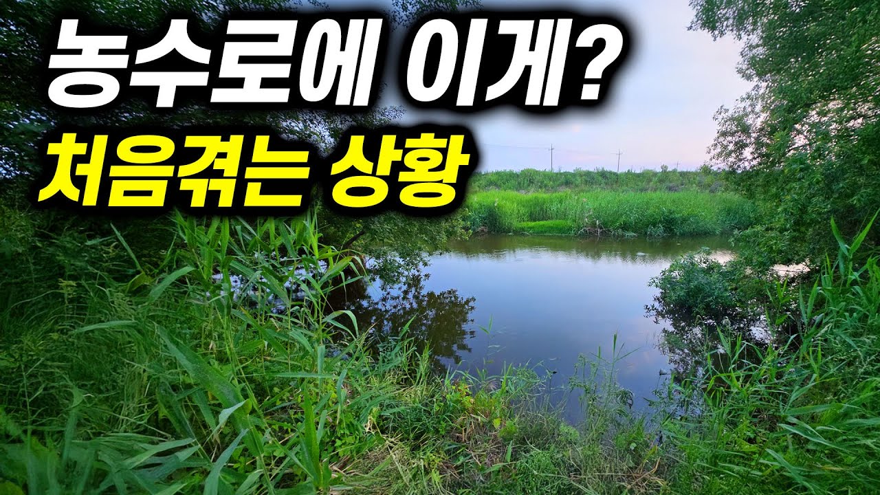 조용한 수로에서… 저도 처음 잡아보는 생물이 나왔습니다.