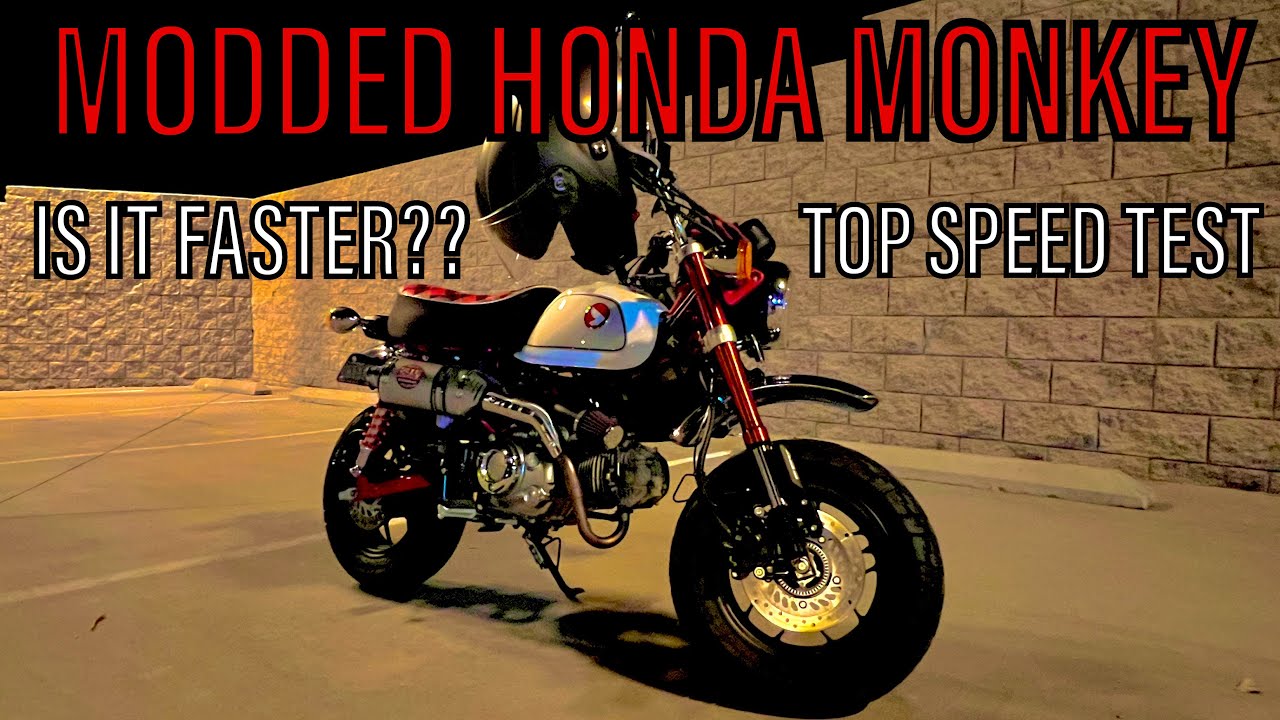 MODDED HONDA MONKEY! IS IT FASTER?? (TOP SPEED TEST)