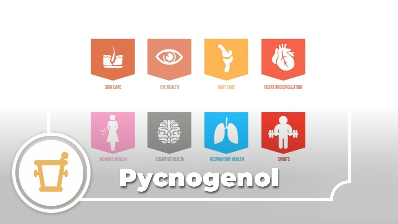 Pycnogenol - a video infographic