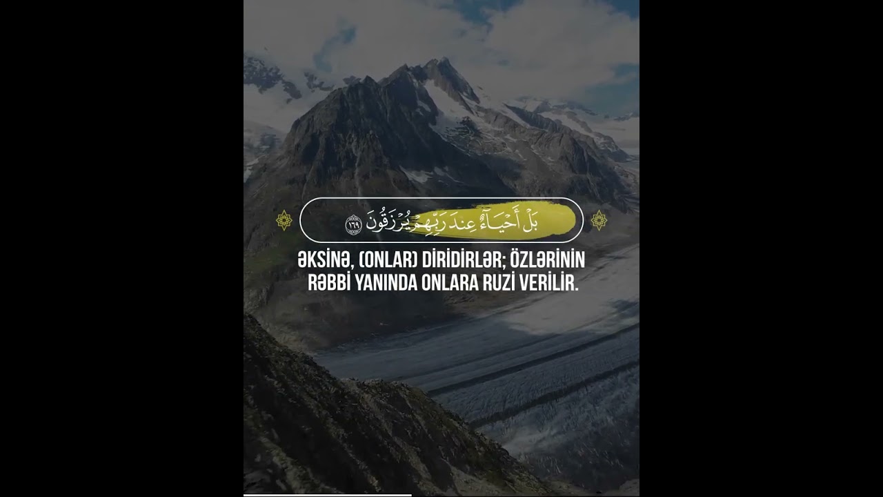 📖 Ali İmran Surəsi | 164-177 🎙 Qari - Asim Al Luhaidan | عاصم اللحيدان