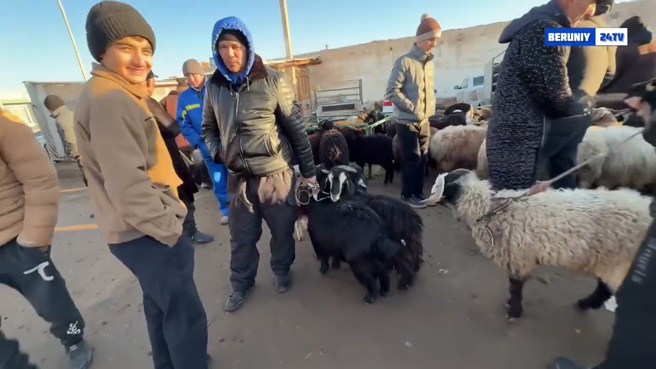 БЕРУНИЙ КУЙ КУЧКОР БОЗОРИ 15.12.2024