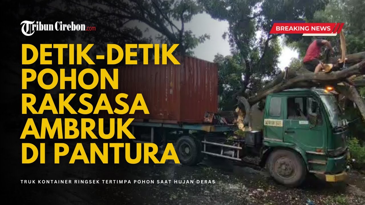 Pantura Cirebon Lumpuh! Truk Kontainer Ringsek Tertimpa Pohon Raksasa saat Hujan Deras
