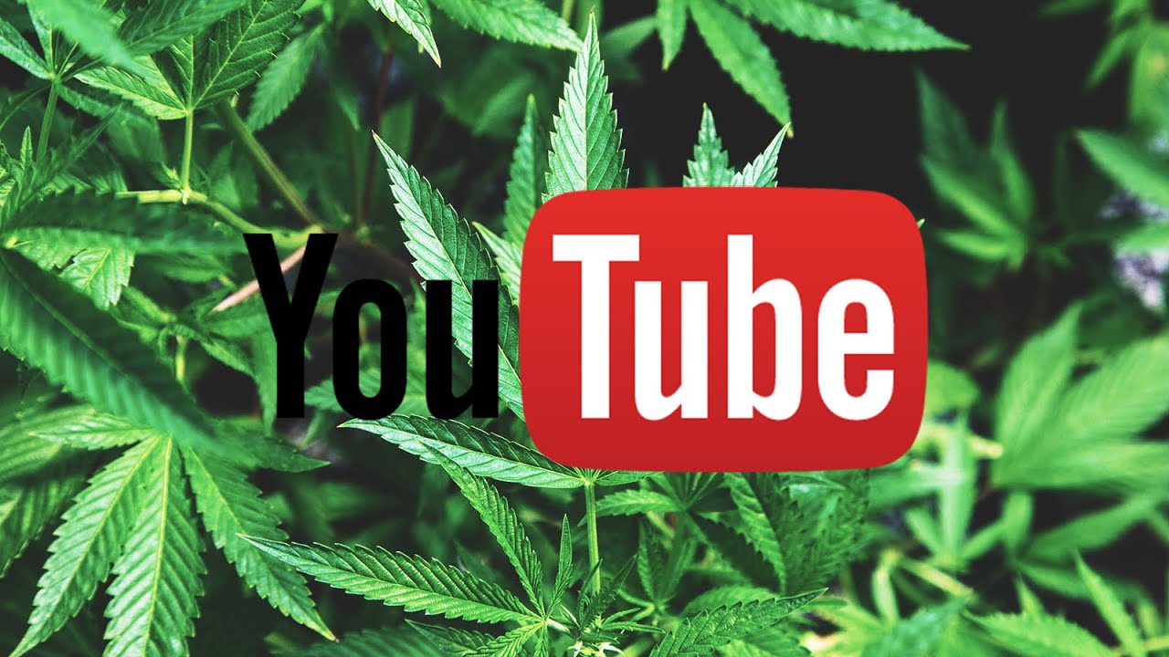 Weed Content On YOUTUBE