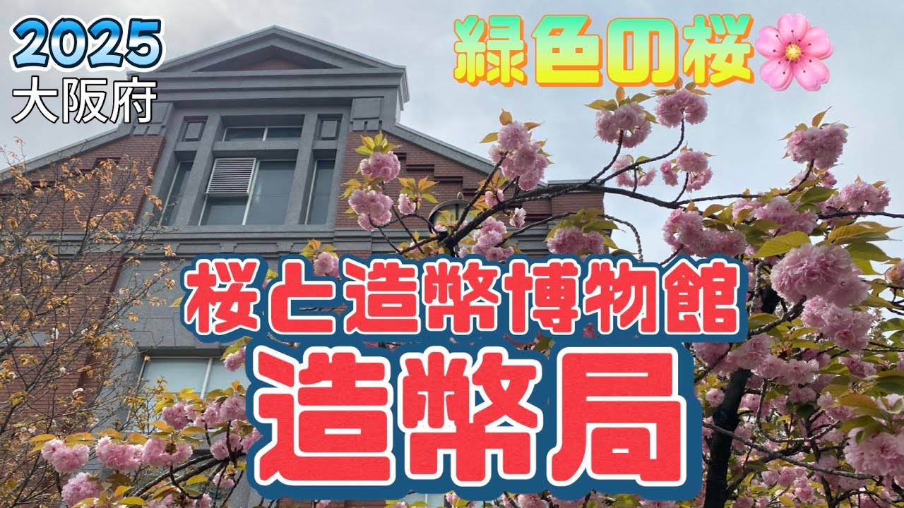 【行った気分】造幣局 桜と造幣博物館 緑の桜 Mint Museum and cherry blossoms