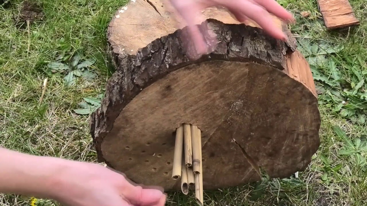 Każdy z nas może zmienić świat, cz. 2