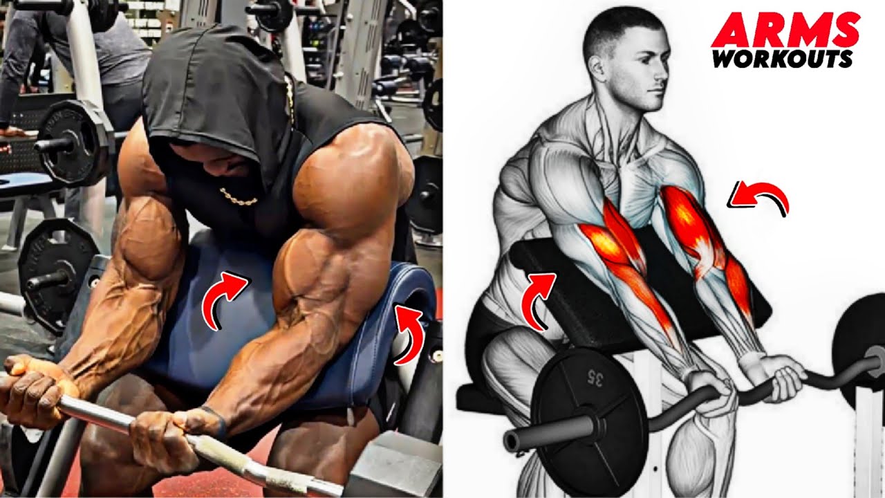 8 упражнений для рук для серьезного увеличения мышечной массы | Быстрый и заметный рост бицепсов ...