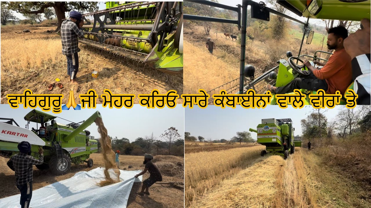 ਕਰਤਾ ਮੁਹਰਤ ਆਪਾਂ ਵੀ ਕਣਕ ਵੰਡਾਈ ਦਾ ਕਰਤਾਰ ਕੰਬਾਈਨ ਨਾਲ // ਵਾਹਿਗੁਰੂ ਜੀ ਮੇਹਰ ਕਰਿਓ ਸਾਰੇ ਮਸ਼ੀਨਾਂ ਵਾਲੇ ਵੀਰਾਂ ਤੇ