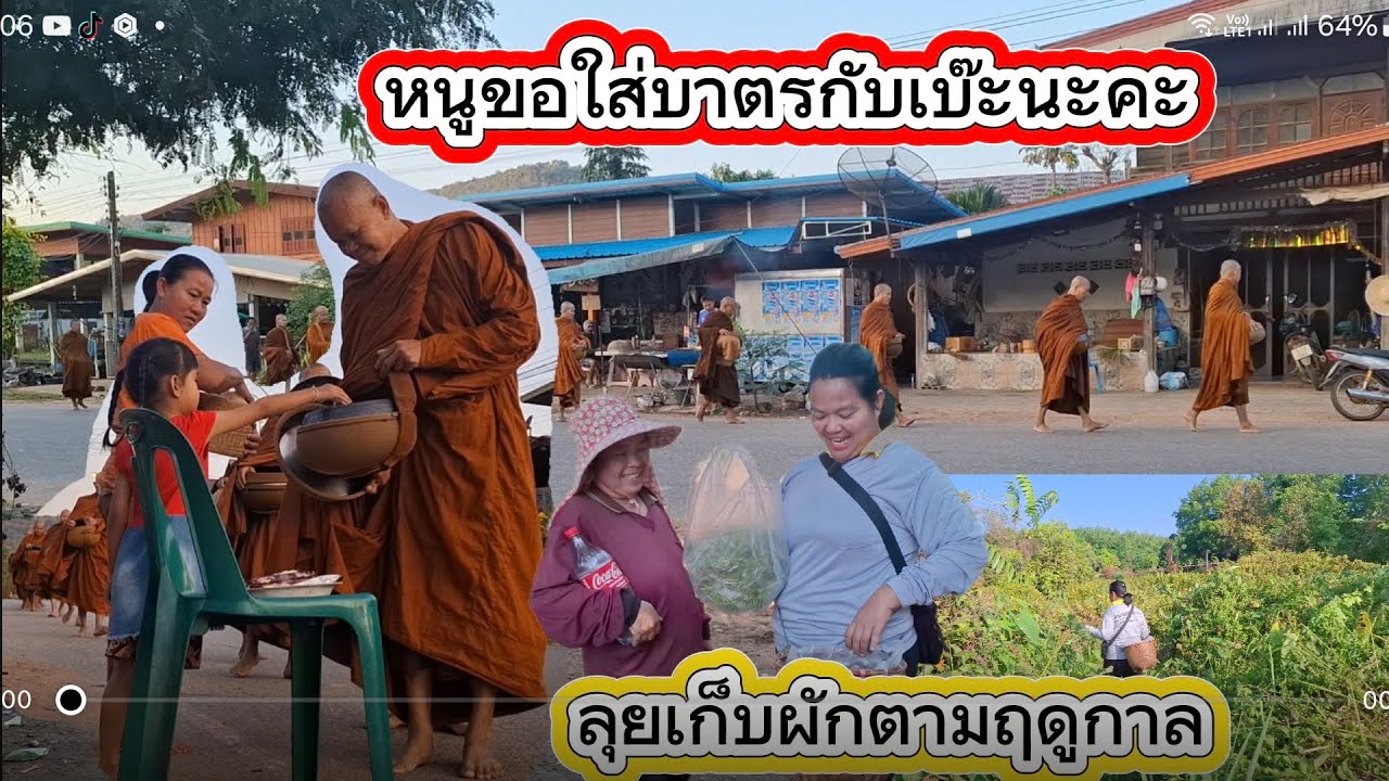 เช้านี้อยากทำบุญ/เลาะเก็บผักกูดคนมาเยอะจะได้ไหม!!