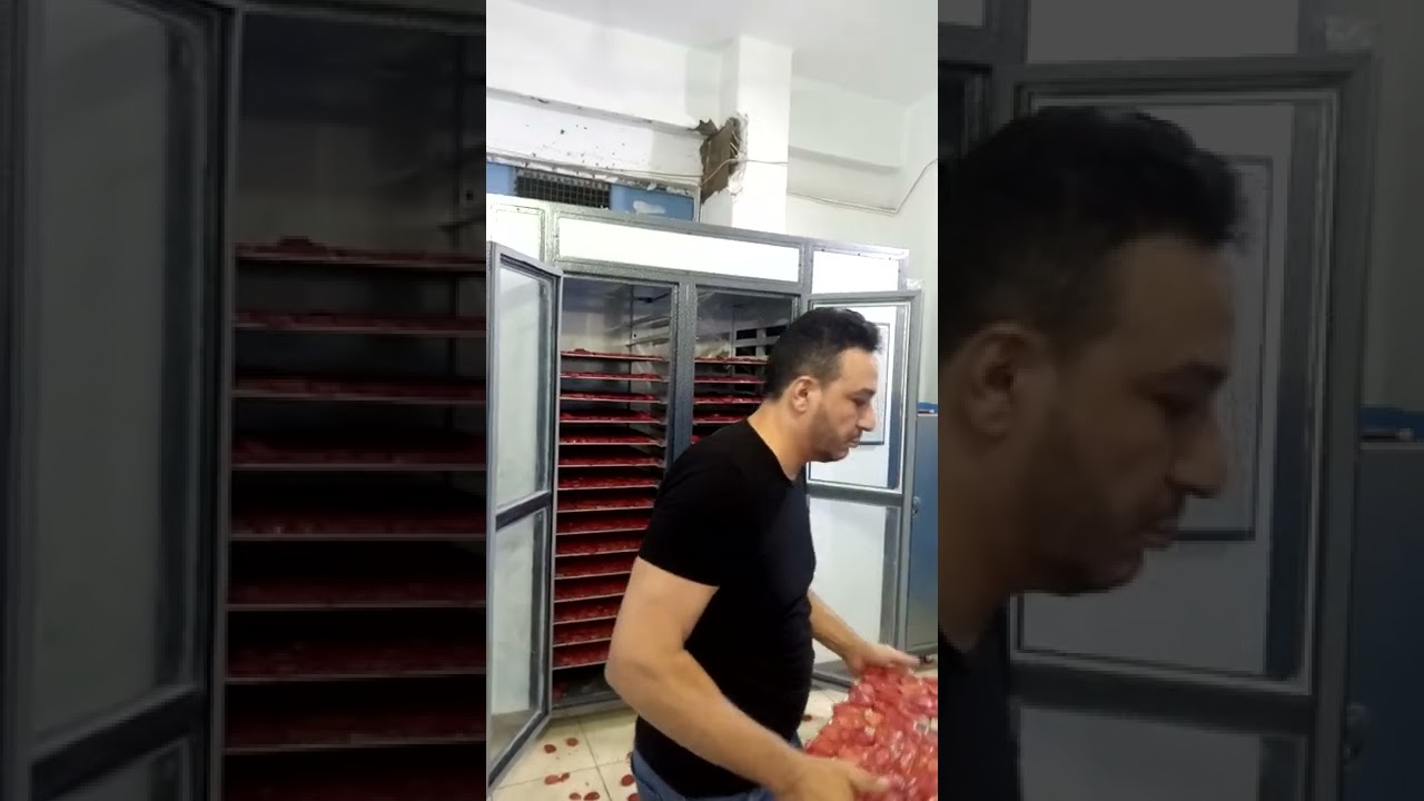 الإعادة الكاملة تجفيف الطماطم بمجفف الشيخ أسامة ١٠٠ك 🍅🍅🍅🔥🔥🔥🔥