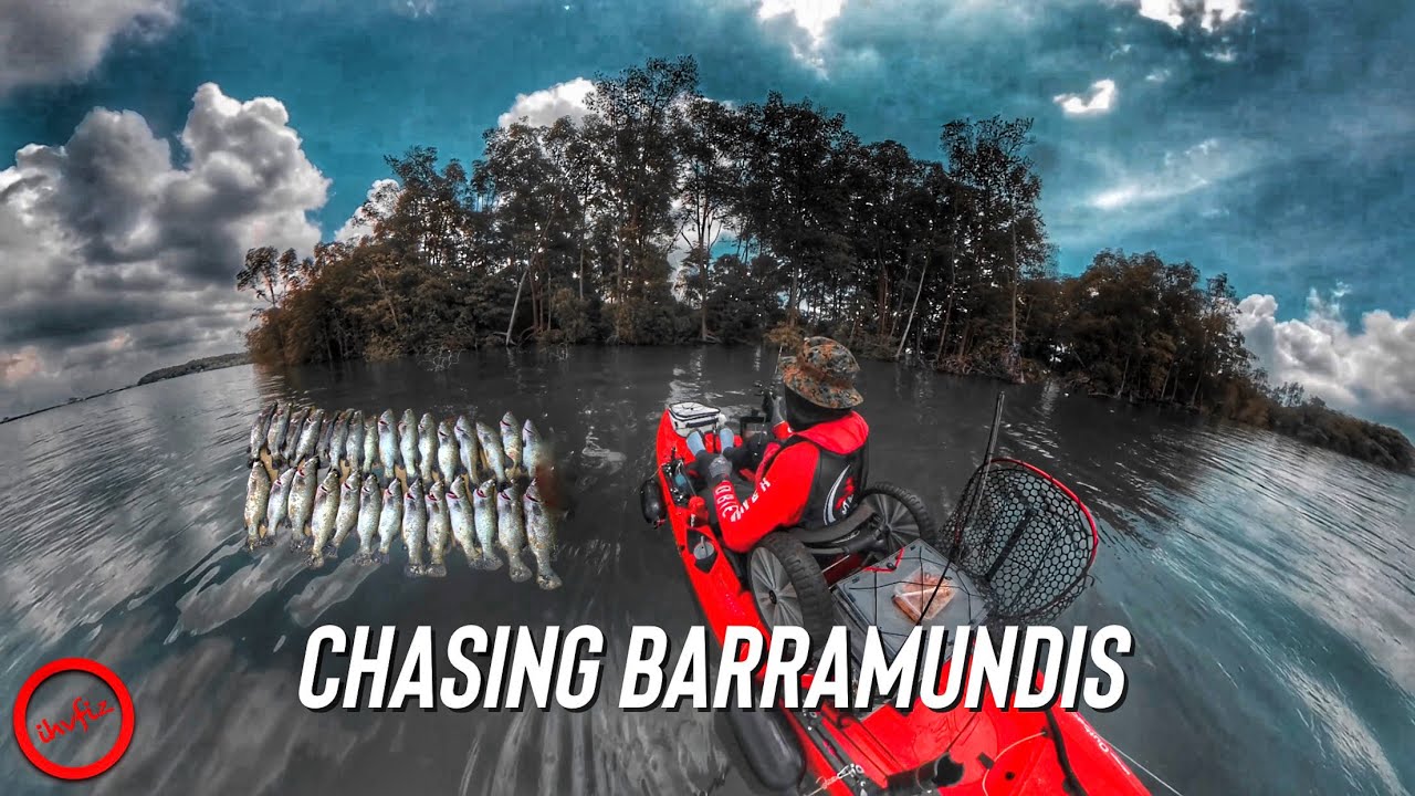 29 Barramundis on Soft Plastics only | Ep 27 | KAYAK FISHING SINGAPORE | Pulau Ubin |