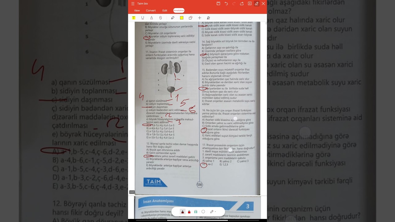 Taim test.İfrazat sistemi test izahı.