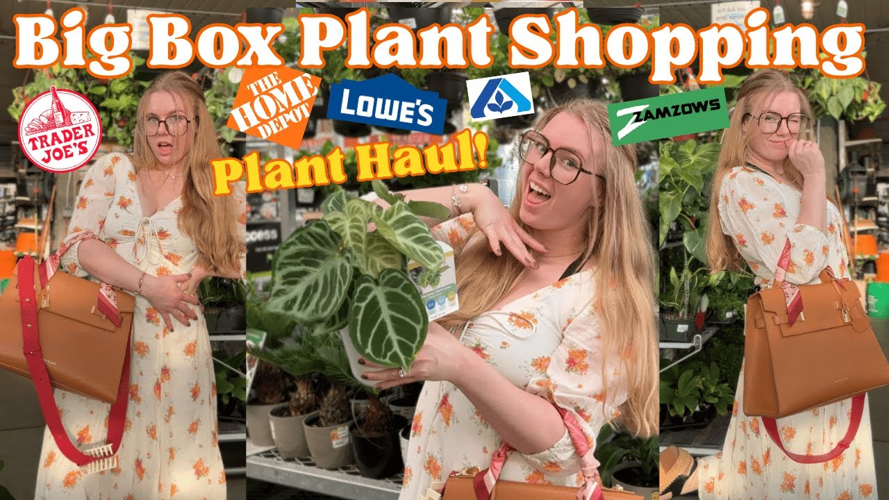 New $19 RARE Plant Finds! Big Box Plant Shopping Day + Plant Haul! 