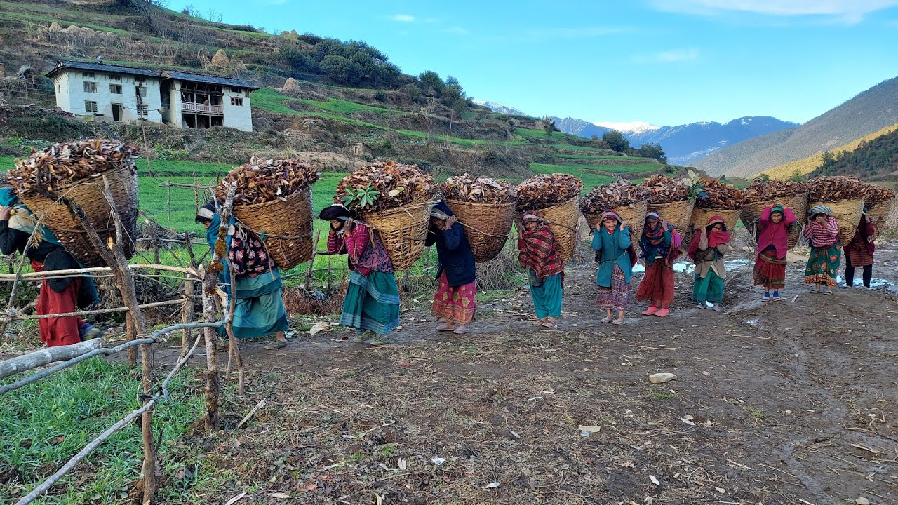 Strong Lives in the Nepali Mountains – True Village Struggles by IamSuman