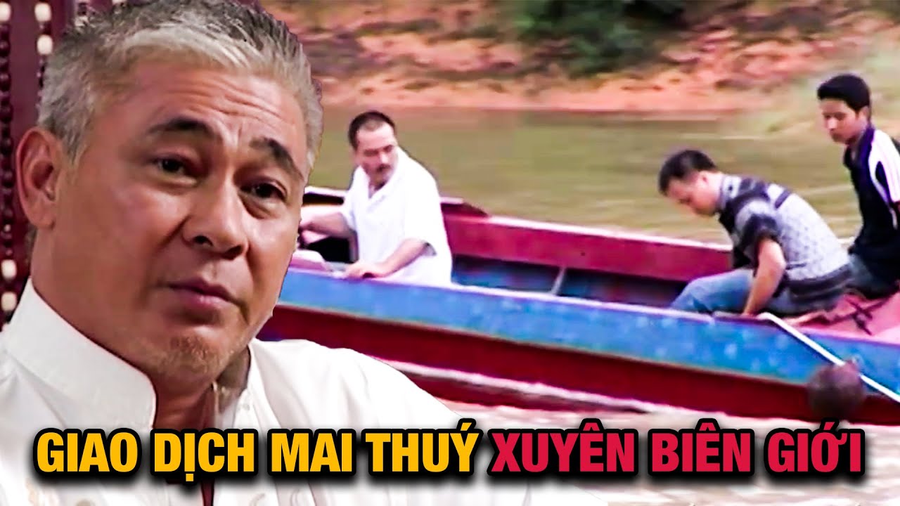 Cách LÃO PHẬT GIA vận chuyển MAI THUÝ số lượng lớn QUA BIÊN GIỚI trót lọt | Bí Mật Tam Giác Vàng