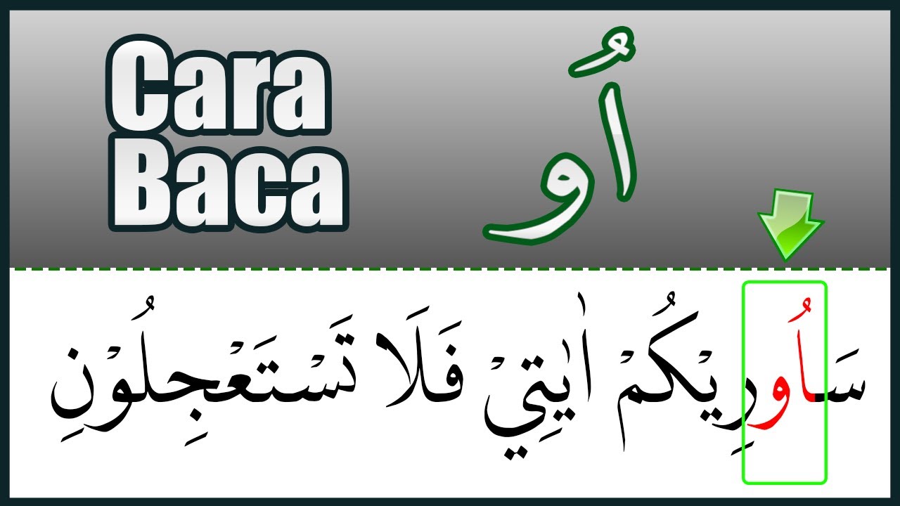 CARA BACA WAU TANPA HAROKAT SETELAH HAMZAH (اُو ) BELAJAR TAJWID
