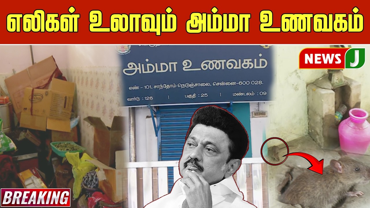 BREAKING || எலிகள் உலாவும் அம்மா உணவகம் | Amma Unavagam | DMK Fails | NEWSJ