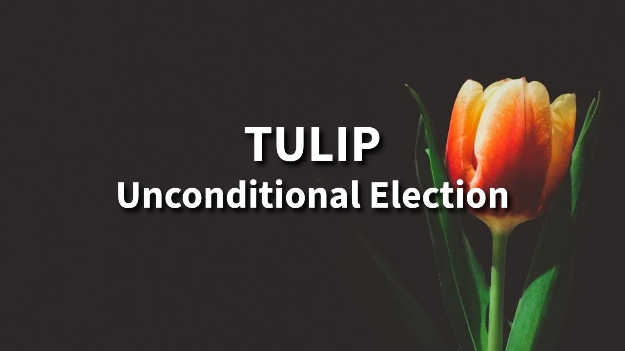 TULIP: Unconditional Election - Pete Townsend