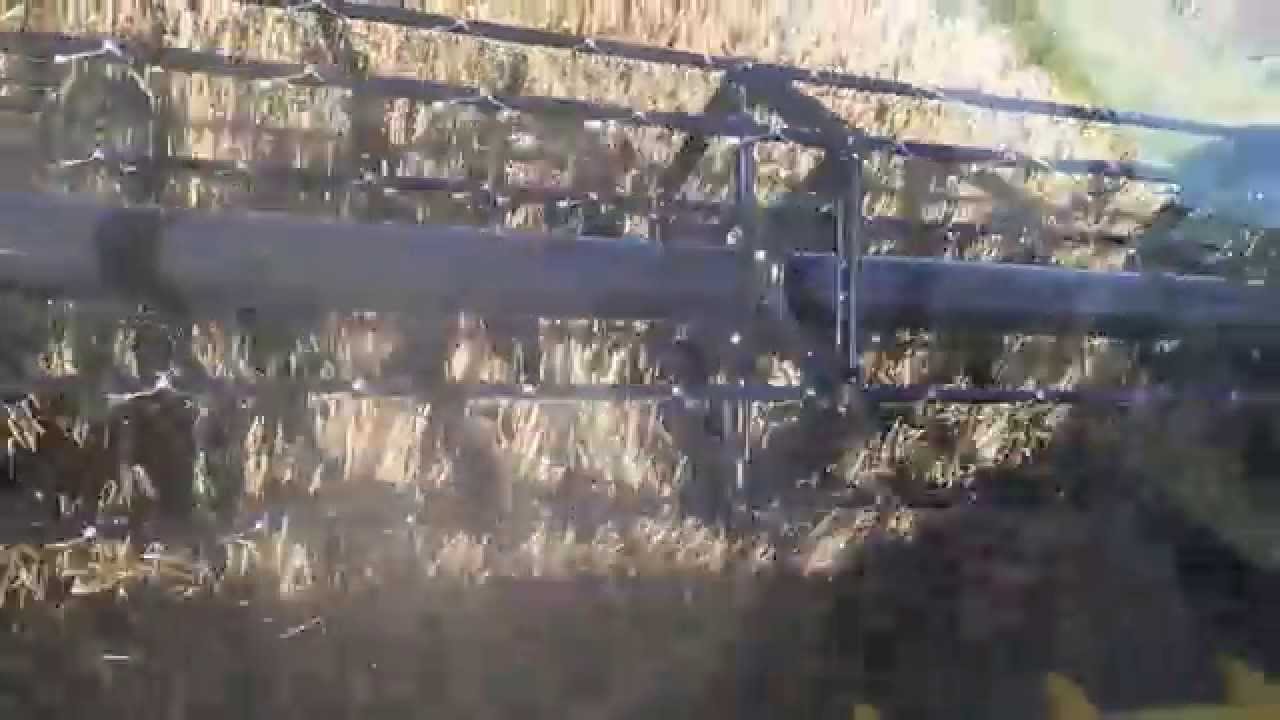 Claydon Drilled Winter Barley 11T/Ha Germany