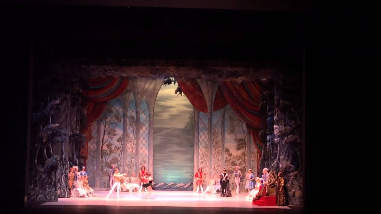 Julian MacKay,17, Bolshoi, Swan Lake