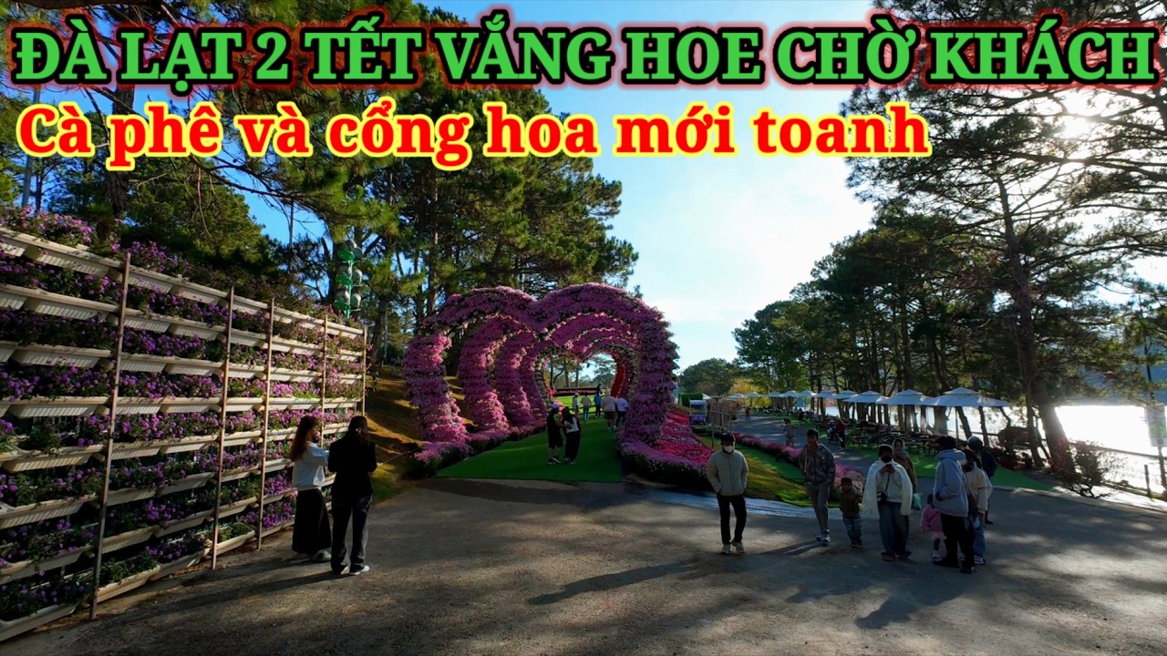 ĐÀ LẠT 2 TẾT VẮNG HOE CHỜ KHÁCH LÊN. CỔNG HOA VÀ CÀ PHÊ MỚI TOANH TRONG ĐỒI CÙ