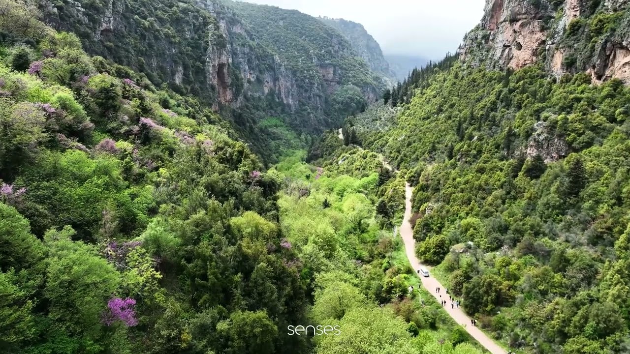 Ouadi Qannoubine