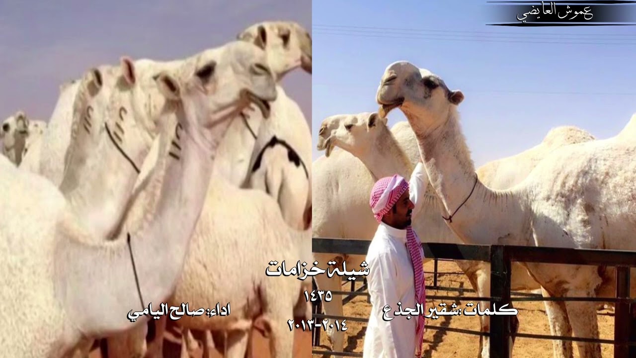 شيلة خزامات كلمات :شقير الجذع اداء: صالح اليامي