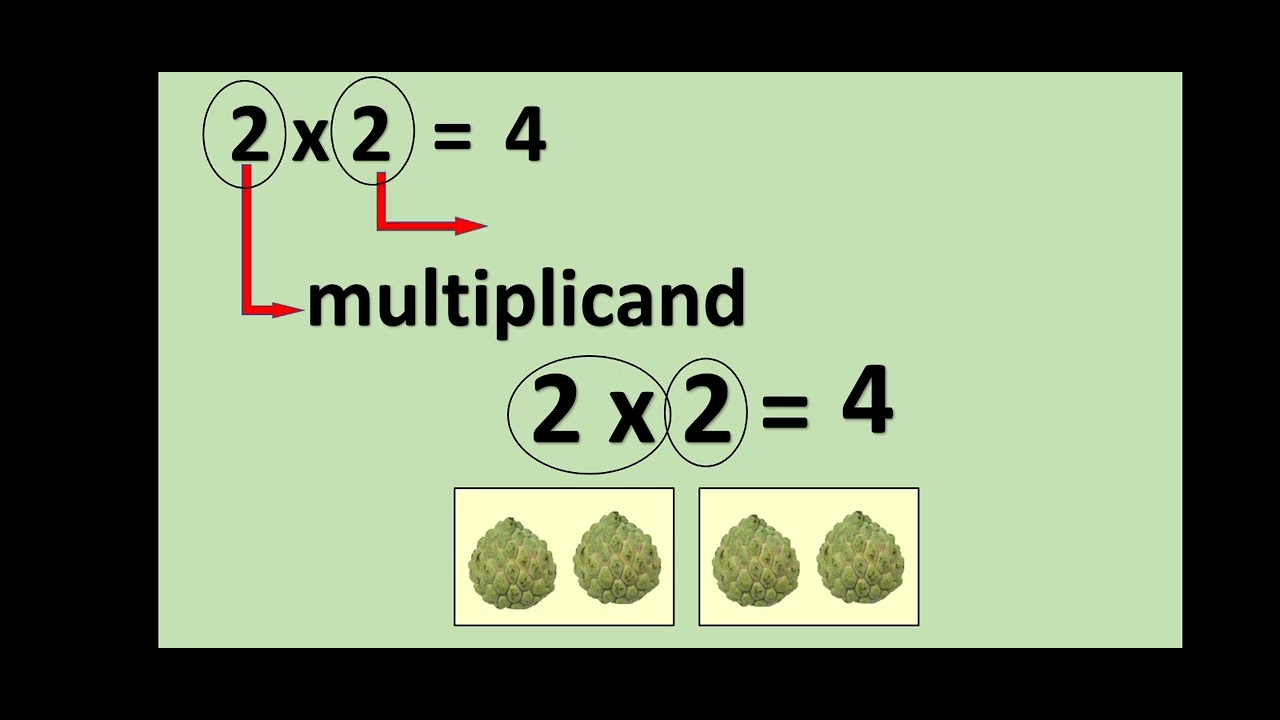 Basic Multiplication for Grade 1-3