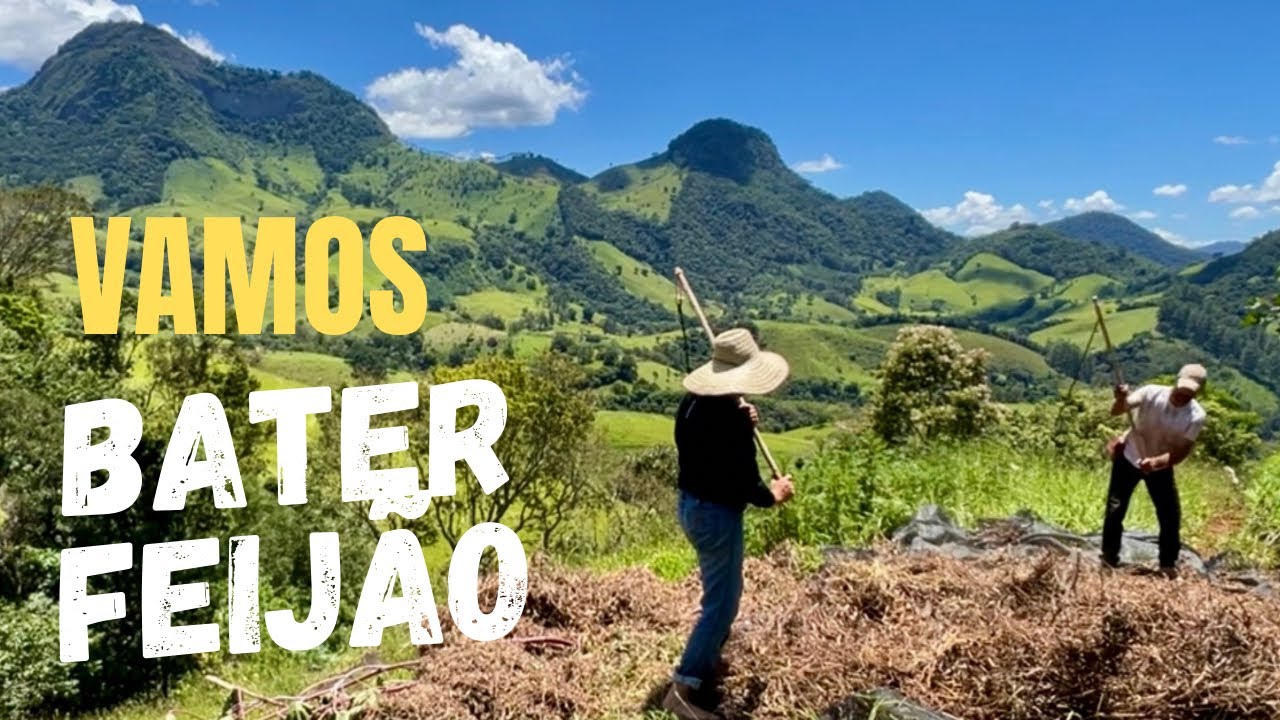 COSTUMES DOS ANTIGOS  - A ARTE DE BATER  FEIJÃO - SUSTENTÁVEL