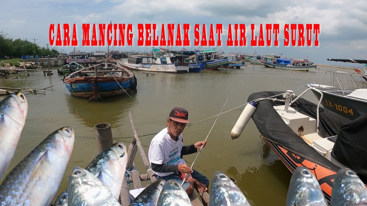Cara Mancing Belanak Saat Air Laut Surut