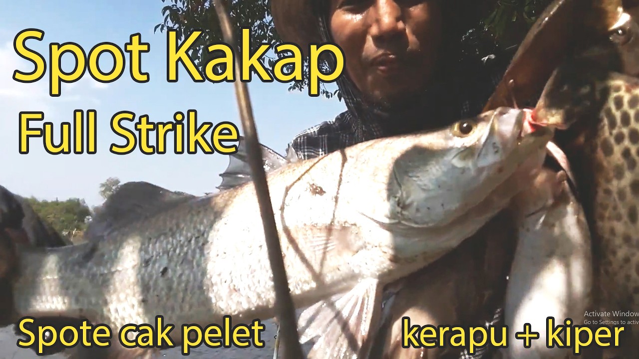 Spot mancing ikan kakap dan kerapu  I rute mancing kakap, kerapu ,kiper,  muara Sungai sidoarjo