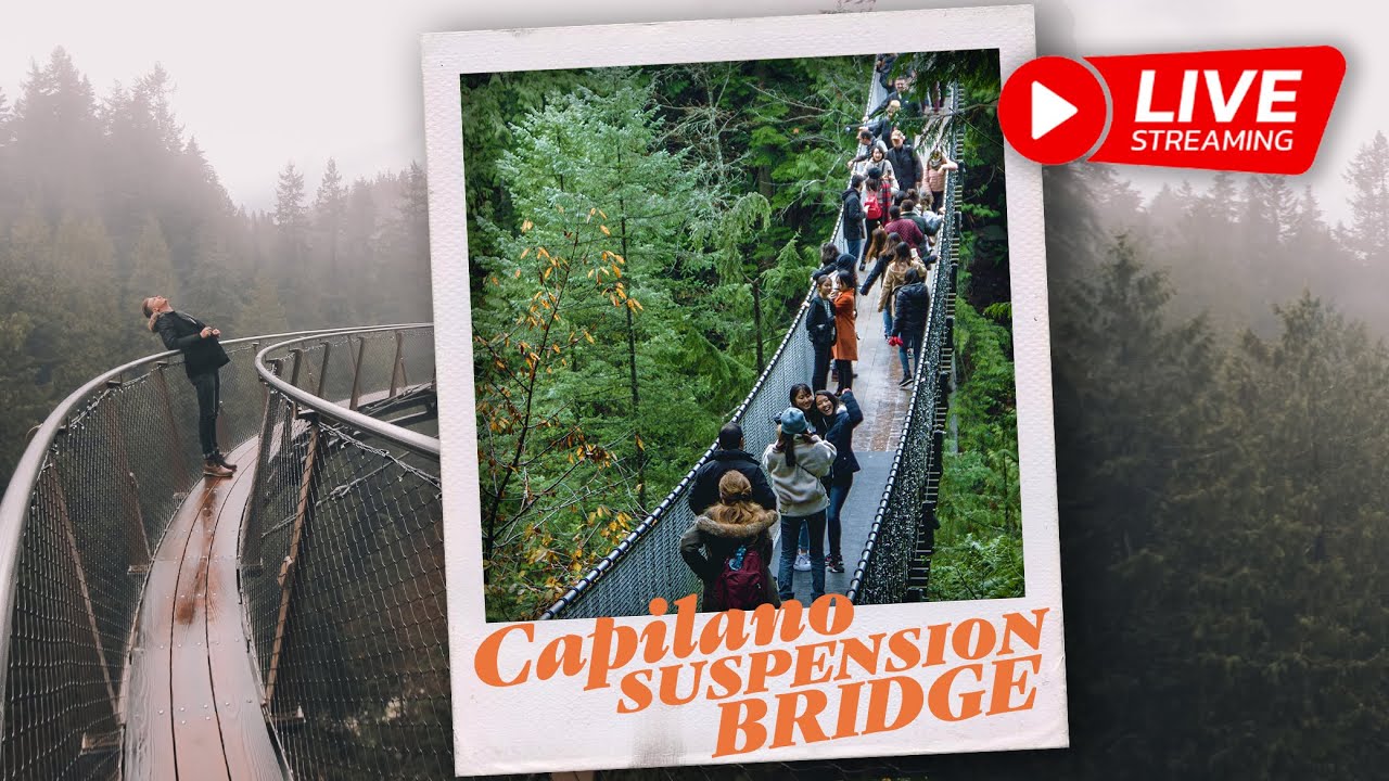 Walk in the TreeTops at Capilano Suspension Bridge (Vancouver, BC)