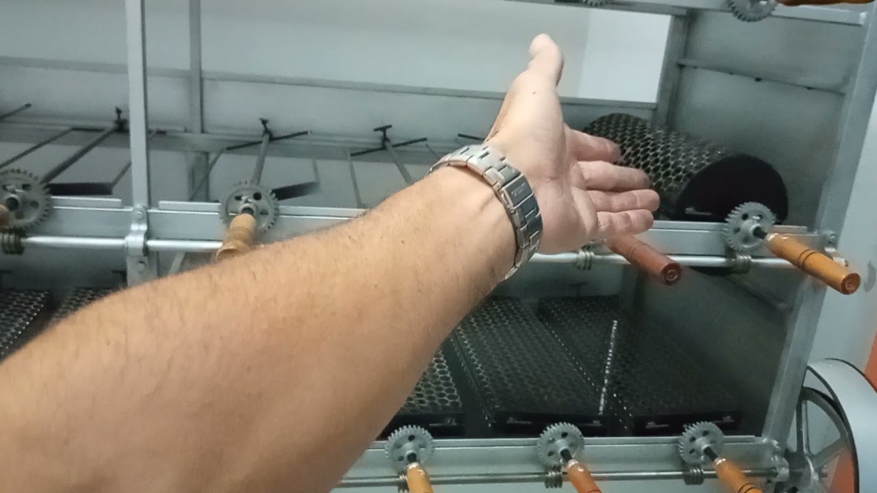 churrasqueira frango na brasa, com espetos gaiolas...