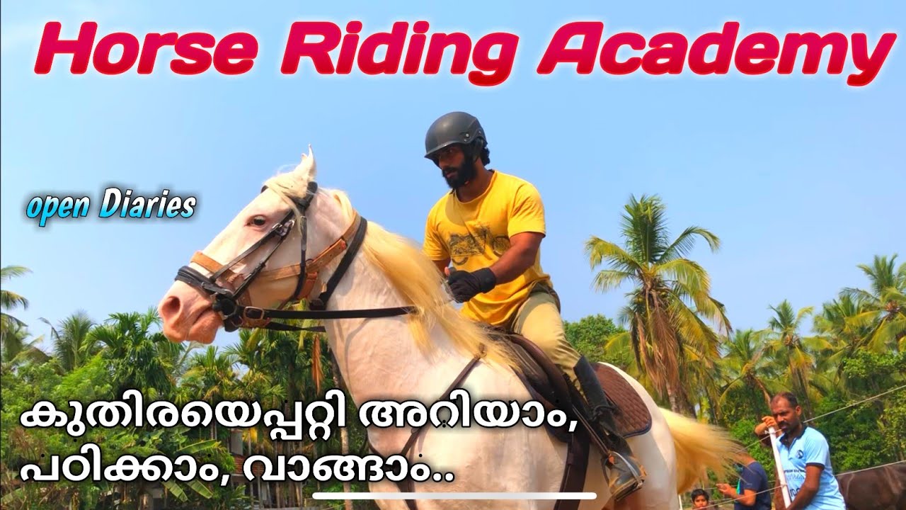 കേരളത്തിലെ തന്നെ ഏറ്റവും മികച്ച Horse Riding Academy നിലമ്പൂരിൽ... കുതിരയെ വാങ്ങാം, റൈഡിങ് പഠിക്കാം.