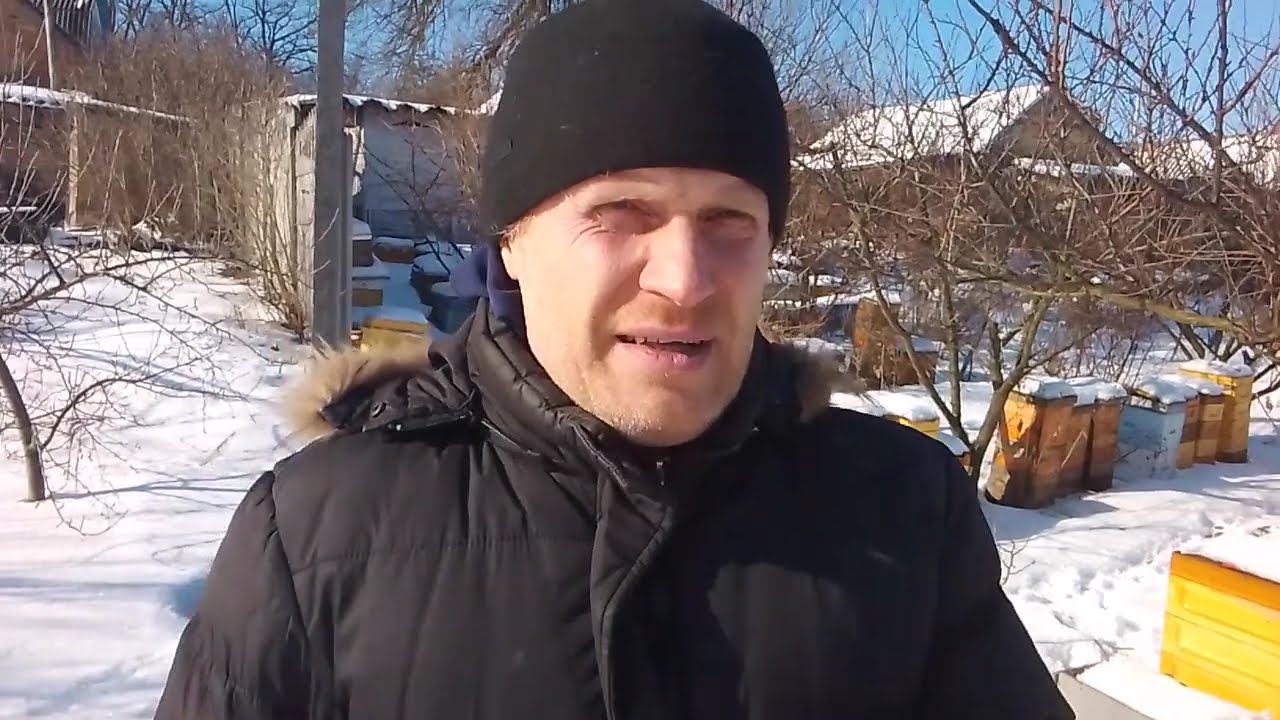 Канді для Бджіл - Мабуть знадобиться цього року