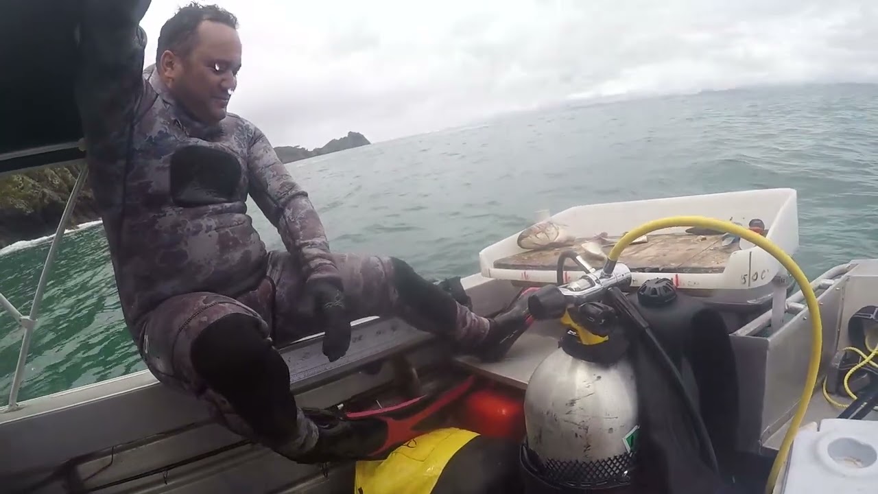 Ep 21: Fishing, diving, Sharking, awesome day