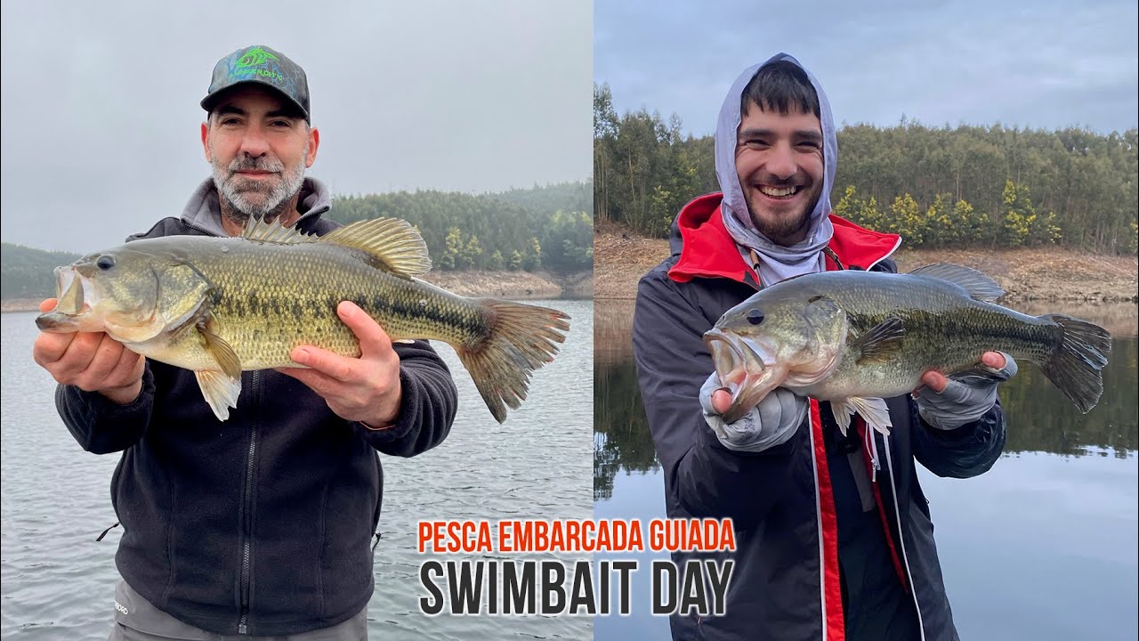 Swimbait Day