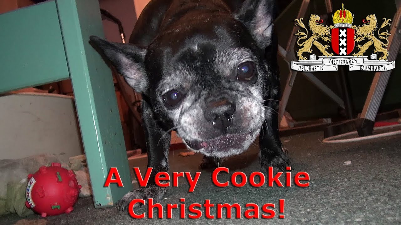 A Very Cookie Christmas • 12.25.14 • Day 1602